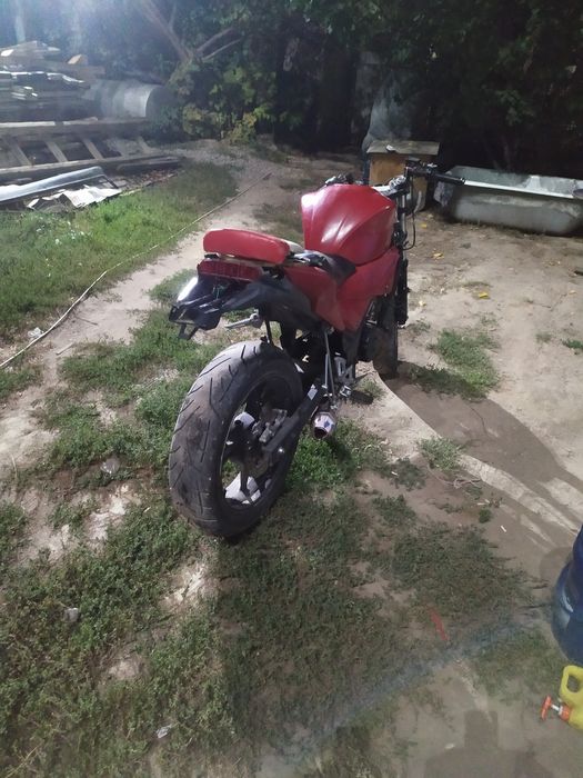 Peda Hornet 2013