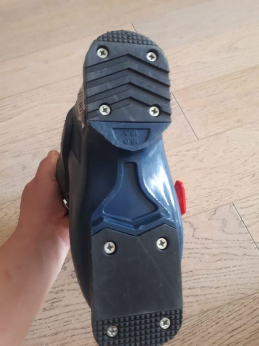 Горнолыжные ботинки