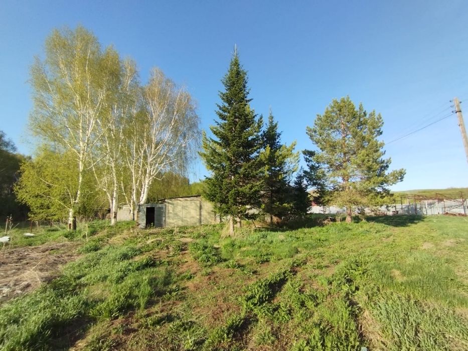Продам участок 47 соток с. Черногорка
