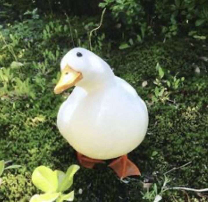 Pekinskiy, agidel, goluboy favorit ordaklar sotiladi