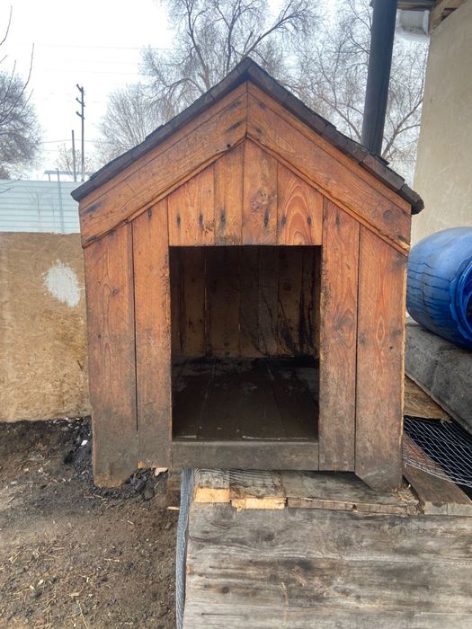 Продам бутку для собак