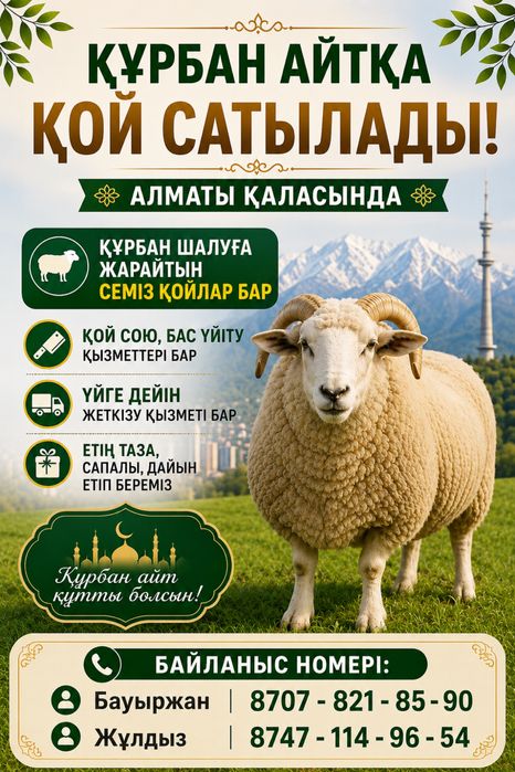 Алматы бойынша ең төменгі де сапалы қойлар бізде.