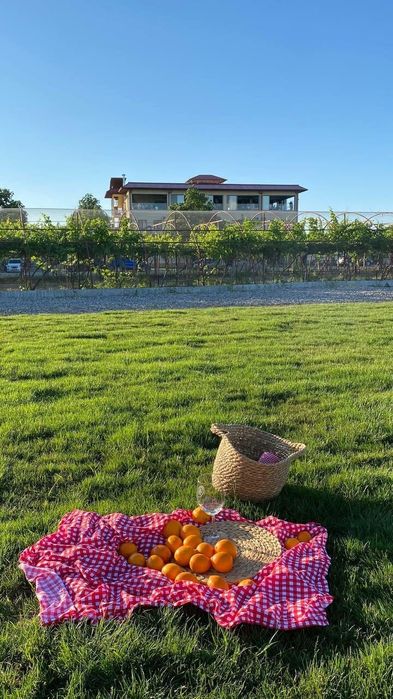 Тур в горы. Трансфер, экскурсии. Минивэн Hyundai, кроссовер