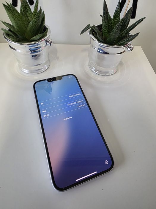 iPhone 14 Plus Purple