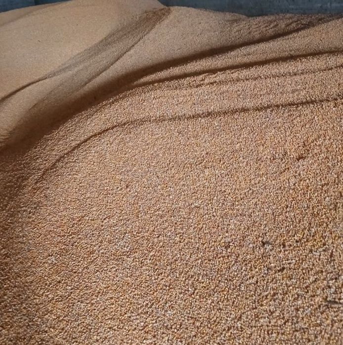 Grâu de vânzare 25 to