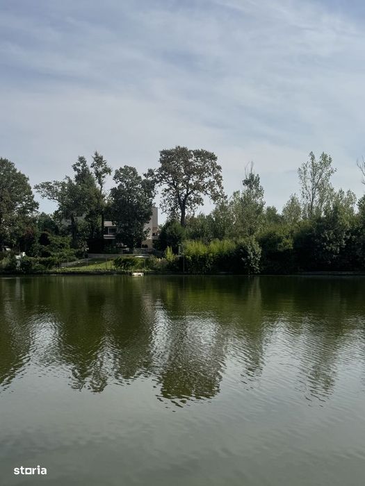 Teren Mogosoaia Lac