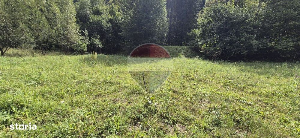 Teren de vis de 2.800 mp pe Valea Tărcăului – Cu lac natural și pădure