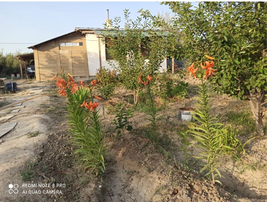 Дача район Сабалак