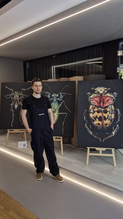 Pictura pe pereti/pictura murala/ reclame de exterior