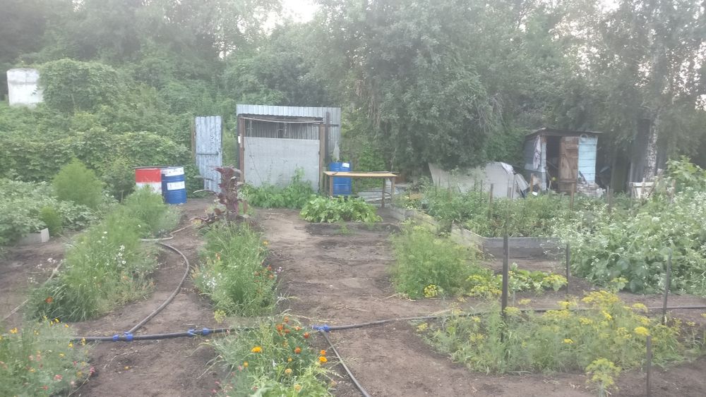 Дача, общество Мичуренец