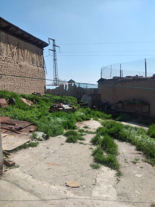 Soʻrchni sotilad narxini kelshmiza