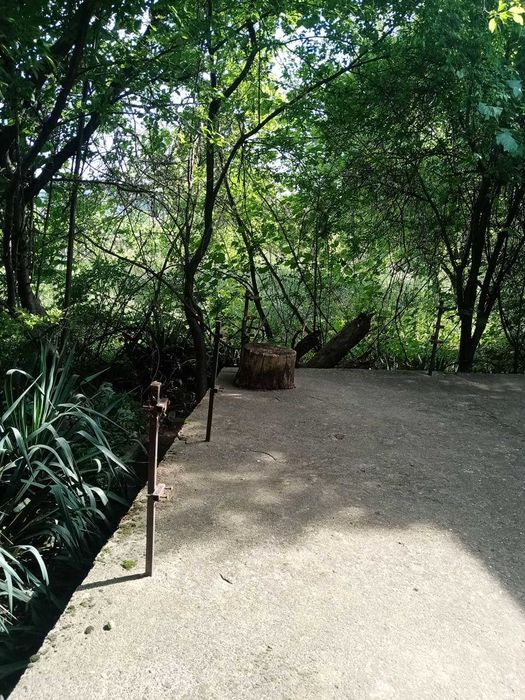 Селски имот - къща и дворно място