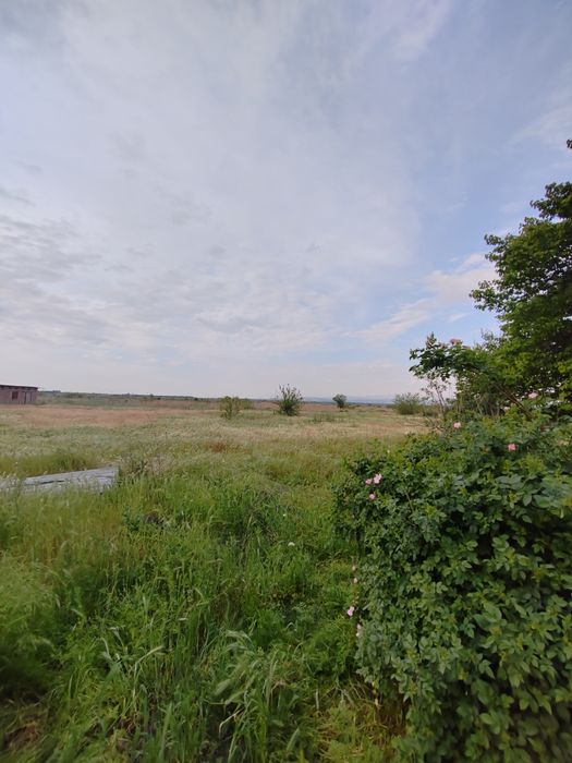 Дачный участок с рыбным хозяйством