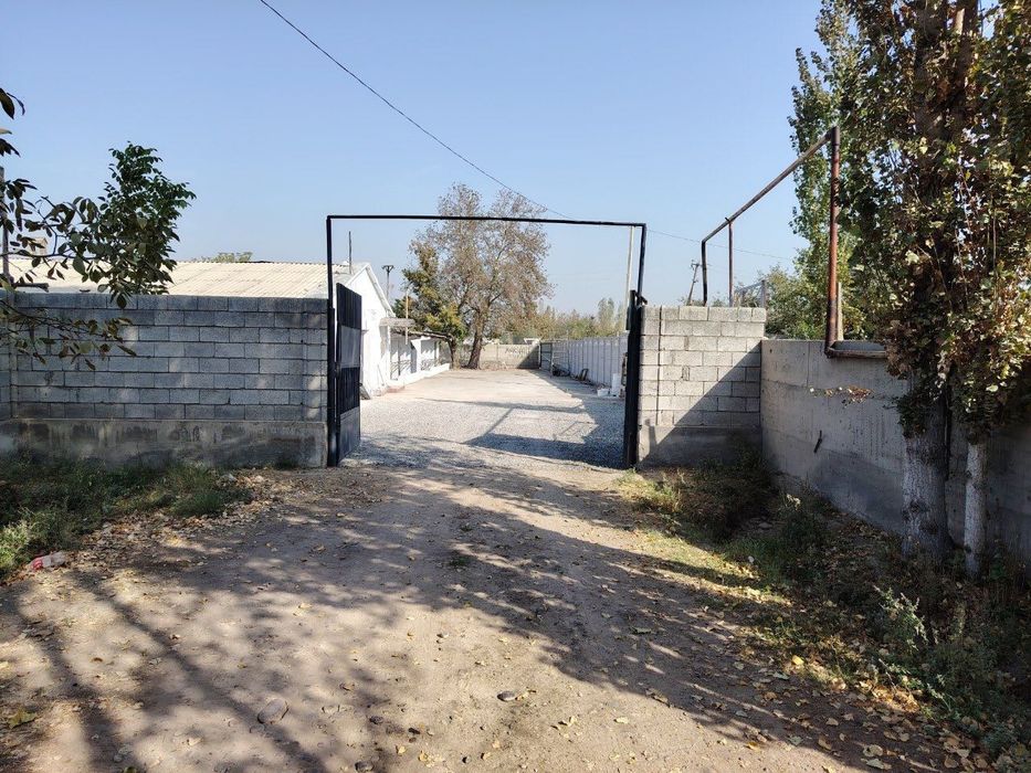 Ferma 50 sotixlik sotiladi