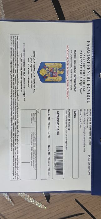 Iapa de vânzare 9 ani