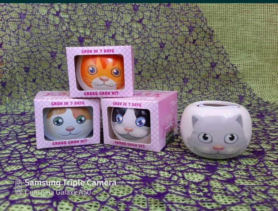 Необычный подарочек деткам