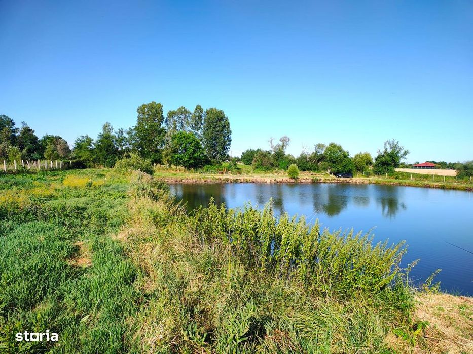 Teren 18.247 mp cu balta de pescuit – Misca, Comuna Chislaz, Bihor