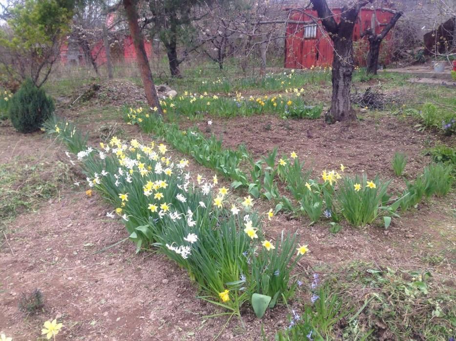 Продава се Къща в Сливен, в.з. Сливен - 20 кв.м за 1850 €/кв.м - Снимка #3