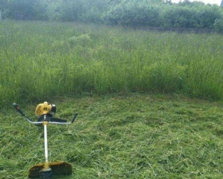 Покос травы газон изгороди