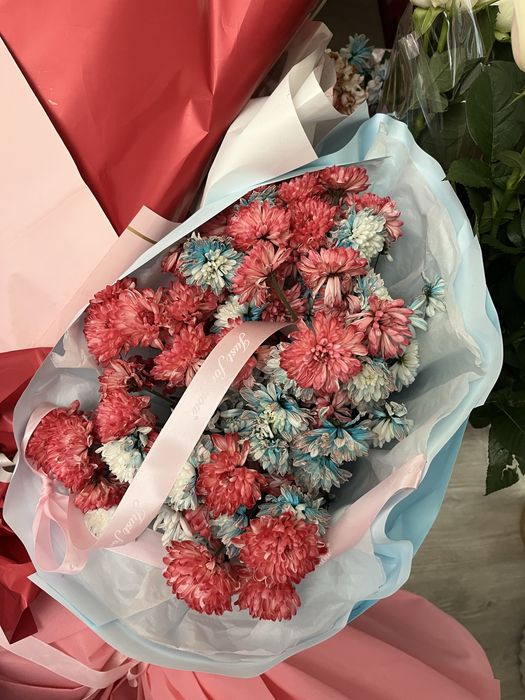 Цветы, продам сегодня, срочно