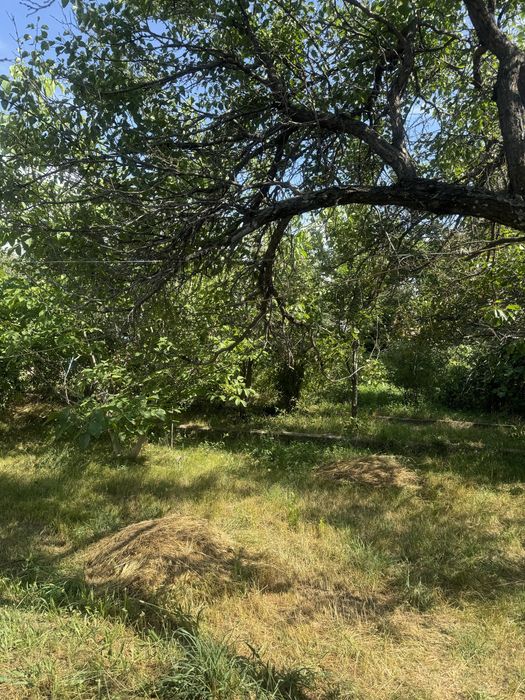 Продается дача  в Иссыке