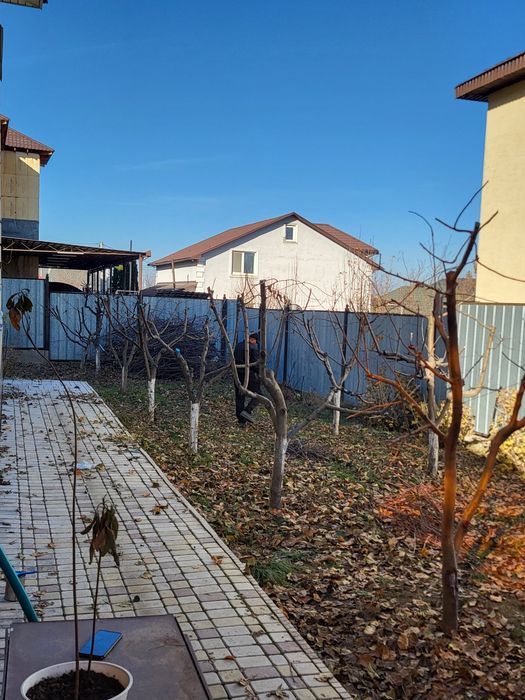 Обрезка плодовых деревьев