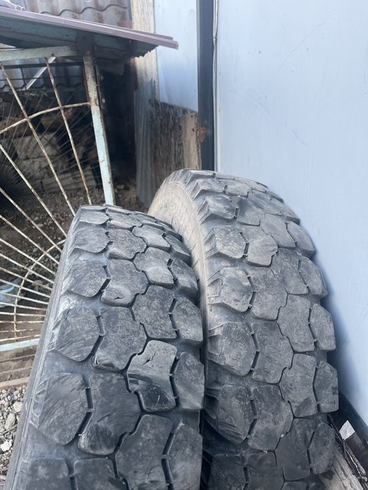 Шины на газ 53 8.25R20 б/у