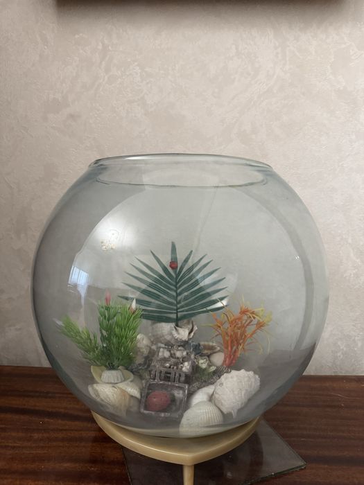 Продам аквариум для рыб в виде шара