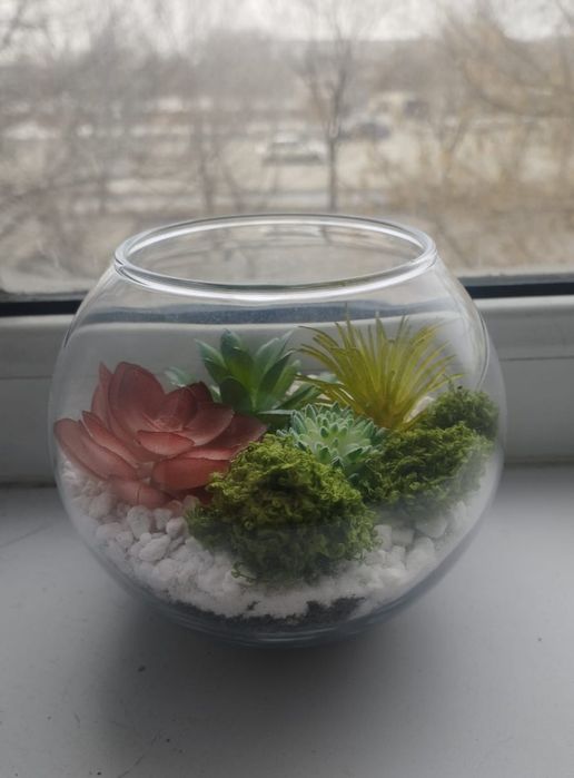 Флорариум с суккулентами в подарок!