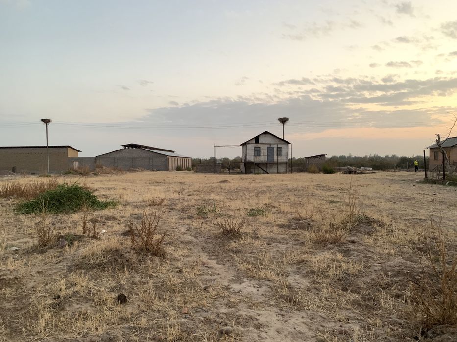 Продажа участка 21 сотка ориентир Ташморе