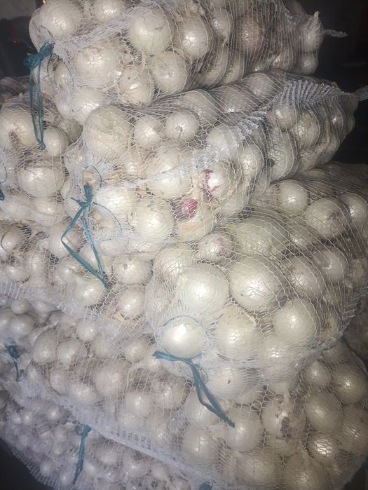 Ceapa alba de vanzare