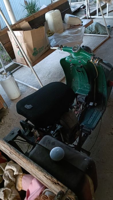 Продам два муравей