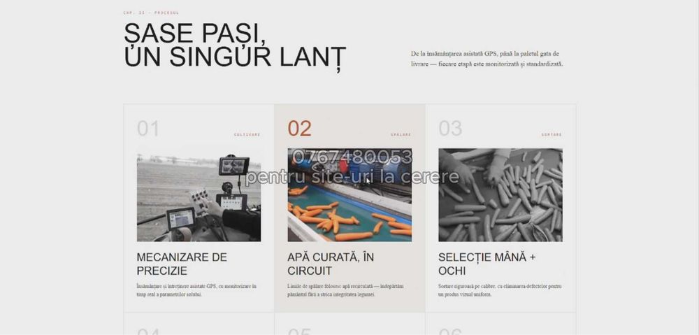 Creare site-uri moderne pentru firme + hosting + domeniu + publicare online (PREȚ FOARTE ACCESIBIL]