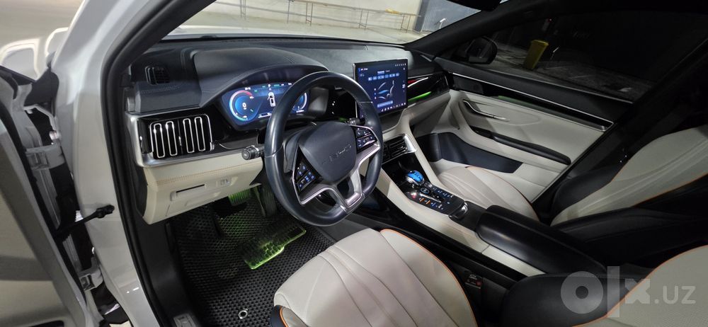 Song pilus GIBRIT BYD  2023 yil olingan 100% radnoy