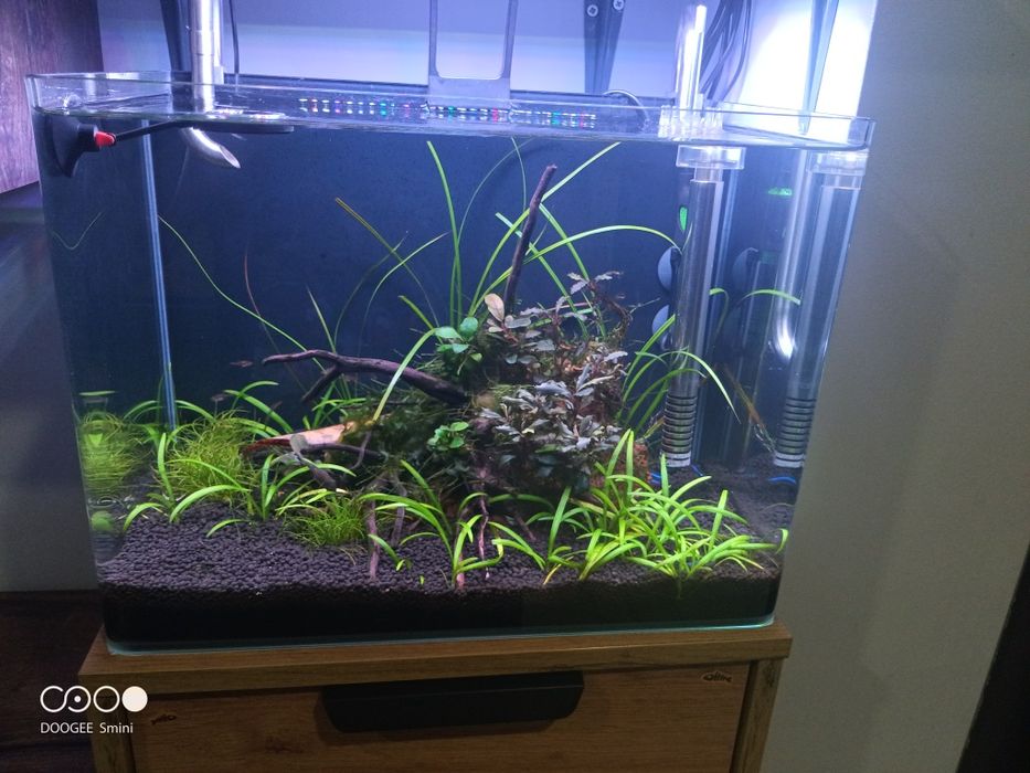 Аквариум Amtra протеин скимер филтър co2  вентилатор охладител  фиг