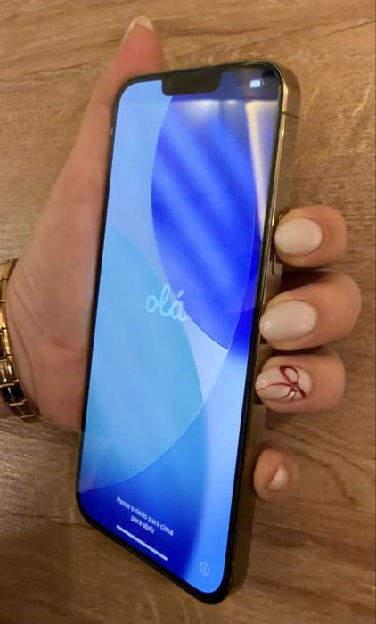 iPhone 13 Pro Max Gold 256 GB