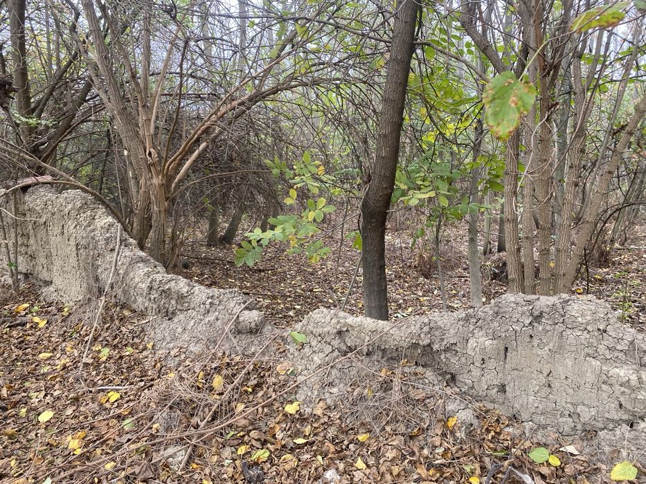 Продава се Къща в с. Самоводене, Област Велико Търново - 100 кв.м за 77 €/кв.м - Снимка #3