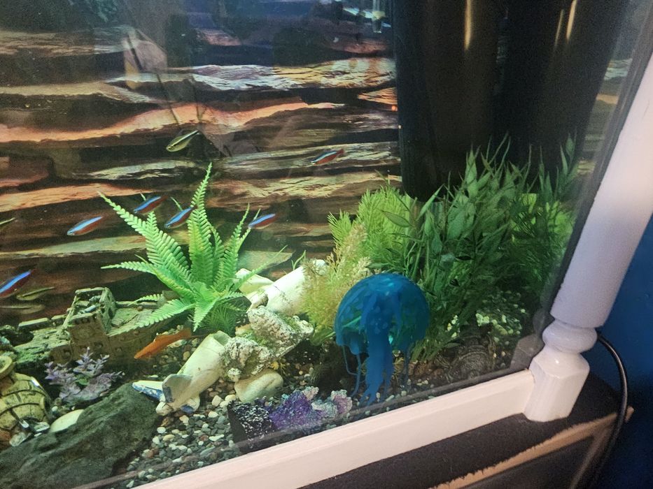 Аквариум с рибки действащ оборудван