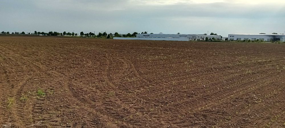 Teren intravilan industrian  16.500 mp , Deschidere 27 ml