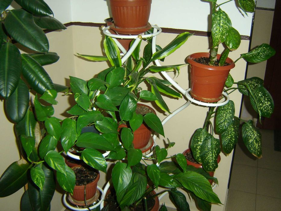 Sony Cyber-shot DSC-P73