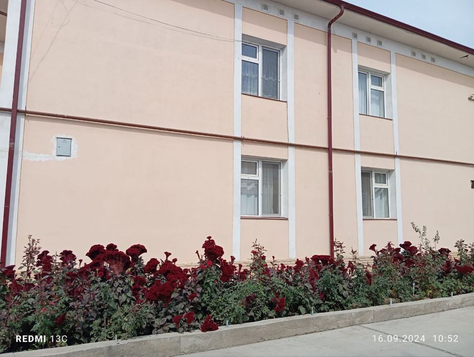 2 ta kotej sotilada 8 sotix