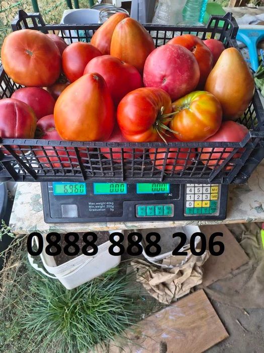 Продавам вкусни домати.