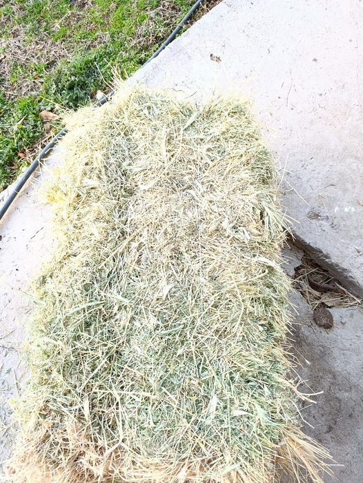 Пресс шөп сатыда