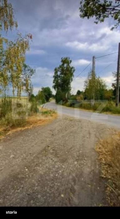 Teren extravilan 4265 mp, in Dangaul Mare - EXCLUSIVITATE