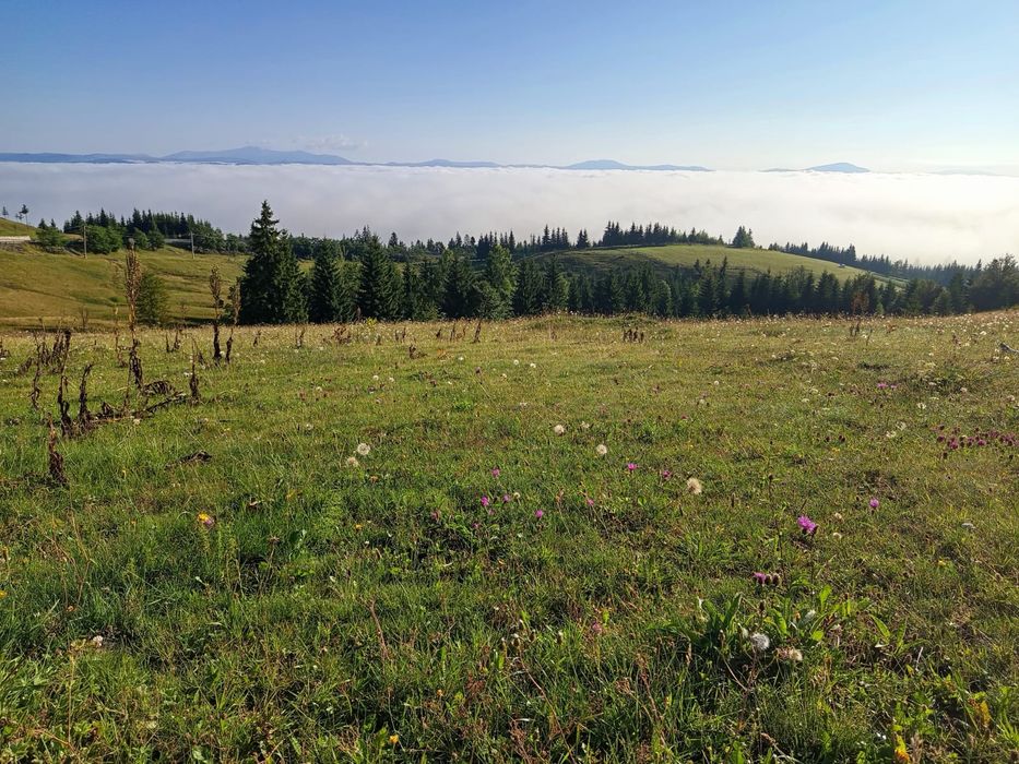 Teren Tihuța / Piatra Fântânele jud BN 1.400 Euro/ar