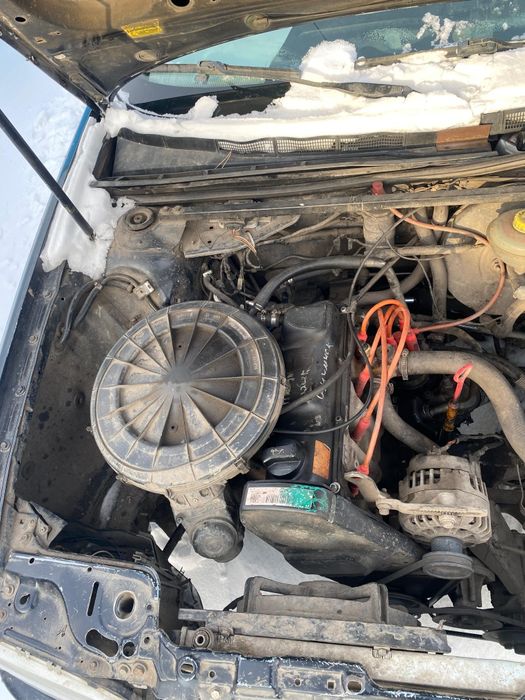 Продам аудюху живую