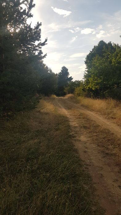 Продава парцел в гр.Сапарева баня