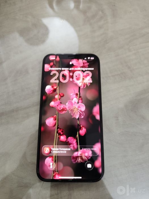 iPhone 12 Pro Max