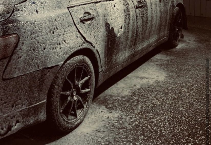 Дика хорошый состояения