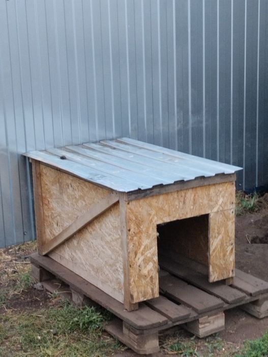 Будка для сабакаа